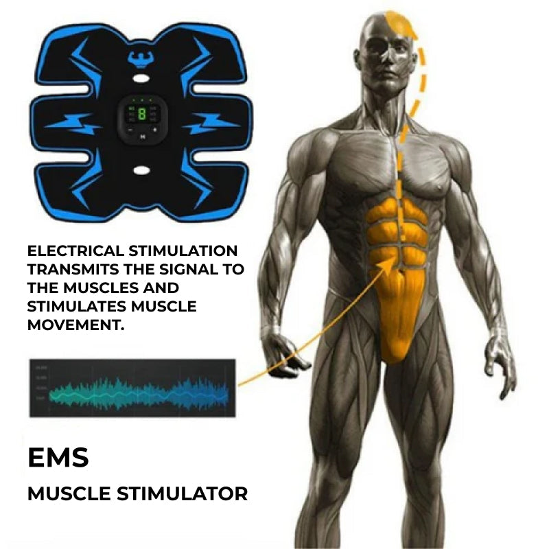 Muscle Electrostimulator EMS