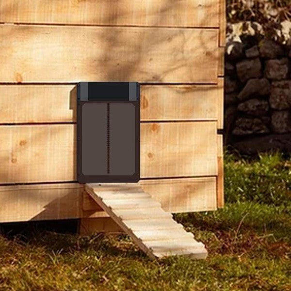 Automatic Chicken Coop Door