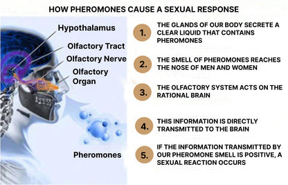 Golden Lure Pheromone Perfume